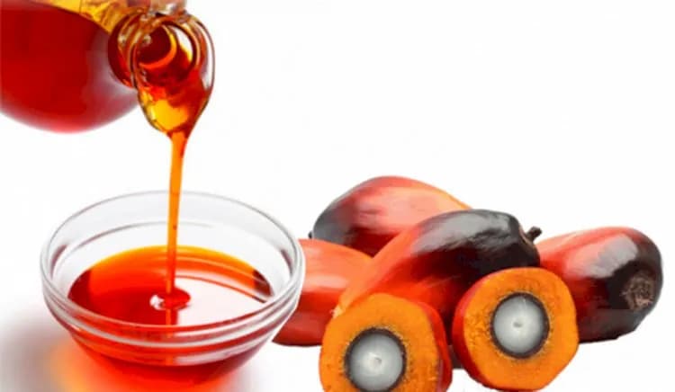 Minyak Sawit Merah: Manfaat untuk kesehatan anda