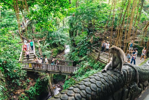 Tragedy happened at Sacred Monkey Forest Sanctuary, Ubud Bali.